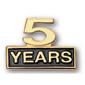 Stock Cutout Five Years Pin